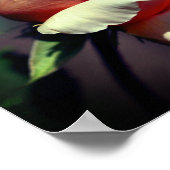 Peach Rosebud Flower Close-up Mirror Abstract Poster (Hoek)