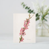 Peach roze Flowers Waterverf schilderen Briefkaart (Staand voorkant)