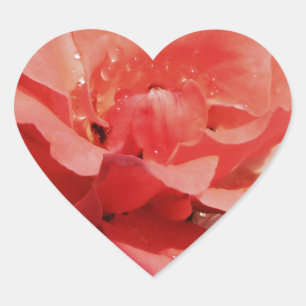  Peach Roze roze bloem Hart Sticker