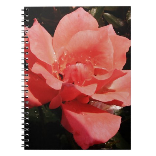  Peach Roze roze bloem Notitieboek (Voorkant)