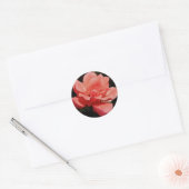 Peach Roze roze bloem Ronde Sticker (Envelop)