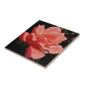  Peach Roze roze bloem Tegeltje (Zijkant)