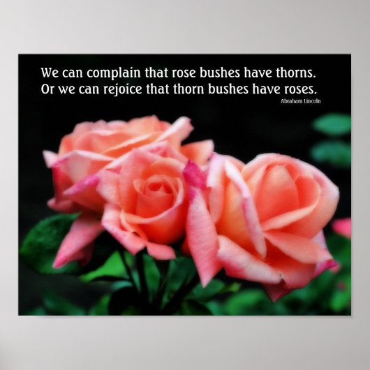 Peach Rozen Attitude Inspirerend Quote Poster (Voorkant)