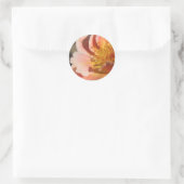 Peach Sunset Roos Envelope Sticker Seal (Tas)