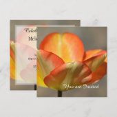 Peach Tulip Flower Birthday Kaart (Voorkant / Achterkant)