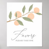 Peach Verjaardagsfeestgunsten teken Poster (Voorkant)