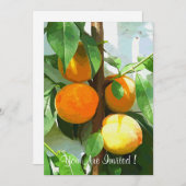 PEACHES KAART (Voorkant / Achterkant)