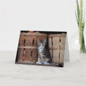 Peaches Kitten Happy Moederdag Kaart (Voorkant)