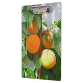 PEACHES KLEMBORD (Links)