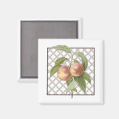 PEACHES MAGNEET (Voorkant / Achterkant)
