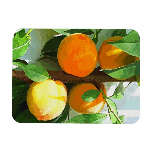 PEACHES MAGNEET (Horizontaal)