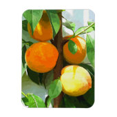 PEACHES MAGNEET (Verticaal)