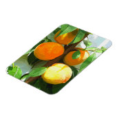 PEACHES MAGNEET (Linkerzijde)