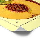 Peaches Vintage 1796 Botanical Art Poster (Hoek)