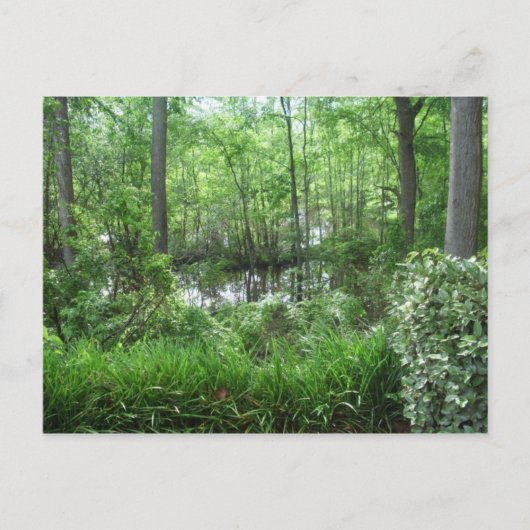 "PEACHTREE CITY, GA" BRIEFKAART (Voorkant)