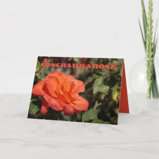 Peachy Floral Felicitatiekaart Kaart