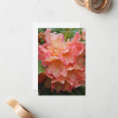 Peachy gekleurde rododendron notitiekaartje (Voorkant / Achterkant in situ)