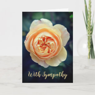 Peachy Oranje Tuin Roos Bloem Met Sympathie Kaart