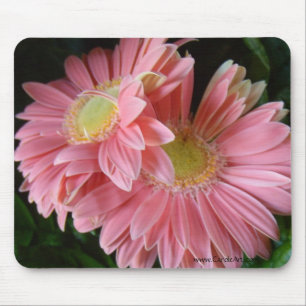 Peachy Pink Daisies Mousepad Muismat