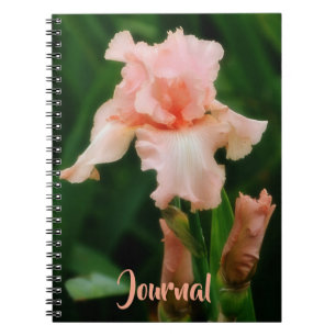 Peachy Pink Iris Flower Art Persoonlijk Dagboek Notitieboek
