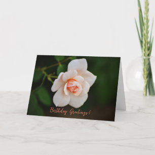 Peachy Pink Little Roos Flower Birthday Kaart