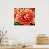 Peachy Ranunculus Flower Poster (Keuken)