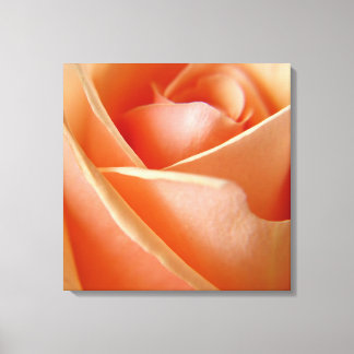 Peachy Roos Canvas Afdruk