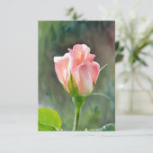 Peachy Rose Rose Boud Art Carte à note plat (Debout devant)