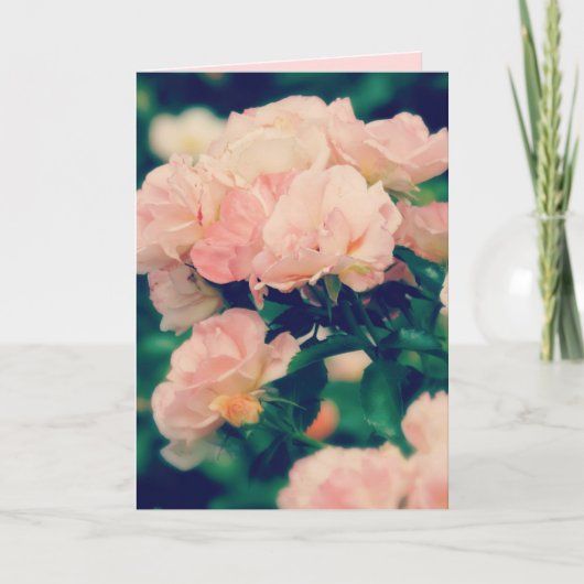 Peachy Rose Roses N'importe quelle occasion Carte  (Devant)