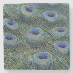 Peacock20160301 Stenen Onderzetter
