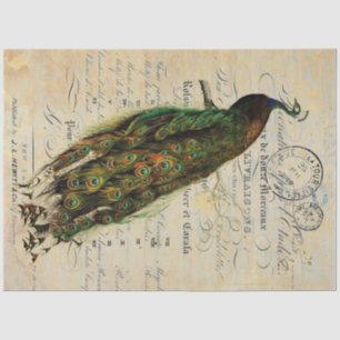 Peacock: 18 lb decoupage Sheet links Tissuepapier