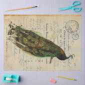 Peacock: 18 lb losblad rechts tissuepapier (Craft)