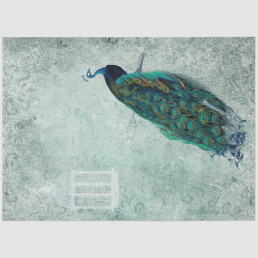  Peacock 18 lb-papier voor weefselrek Tissuepapier (Voorkant)