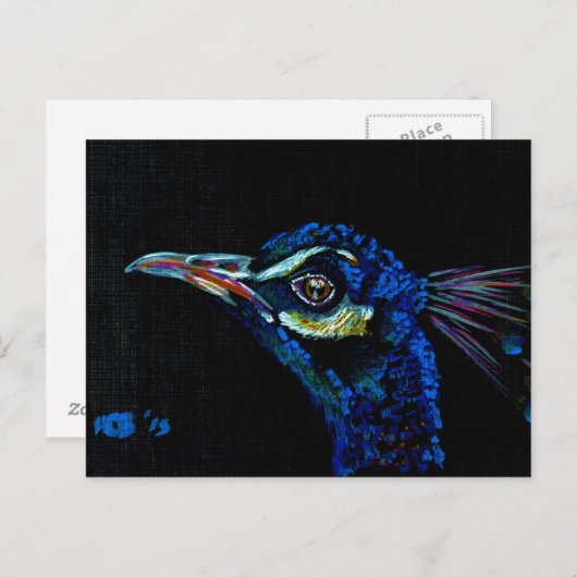 Peacock 1 briefkaart (Voorkant / Achterkant)