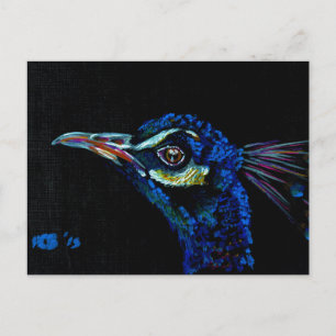 Peacock 1 briefkaart
