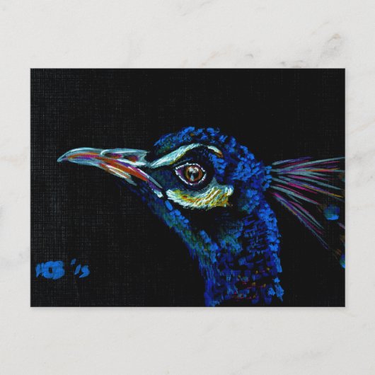 Peacock 1 briefkaart (Voorkant)