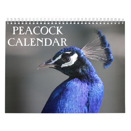 Peacock 2025 kalender (Hoes)