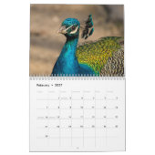 Peacock 2025 kalender (Feb 2027)