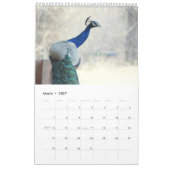 Peacock 2025 kalender (Mar 2027)
