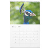 Peacock 2025 kalender (Feb 2027)