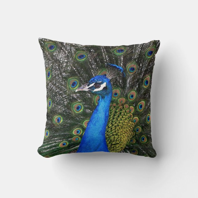 Peacock 20 X 20 Pillow Kussen (Voorkant)