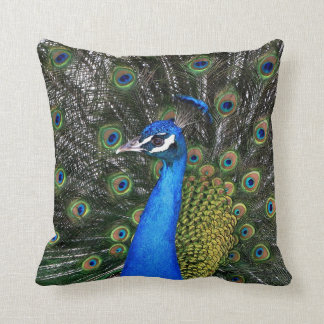 Peacock 20 X 20 Pillow Kussen