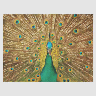 Peacock 2-wandpapier voor het loskoppelen van kuns tissuepapier