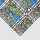 peacock-3.jpg tissuepapier (Detail)