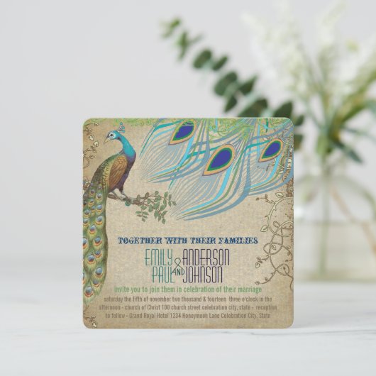 Peacock 3 Verfveren oud papier Kaart (Staand voorkant)