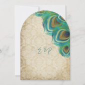 Peacock 4 Veters met Peacock Kaart (Achterkant)