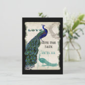  Peacock 5 - sparen de Datum Save The Date (Staand voorkant)