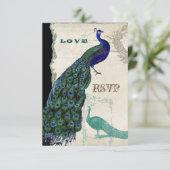 Peacock 5 - Uitnodiging tot het uitzenden van een (Staand voorkant)