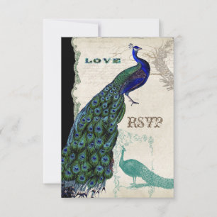  Peacock 5 - Uitnodiging tot het uitzenden van een