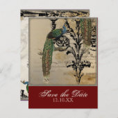 Peacock 6 - Save the Date Briefkaarten (Voorkant / Achterkant)